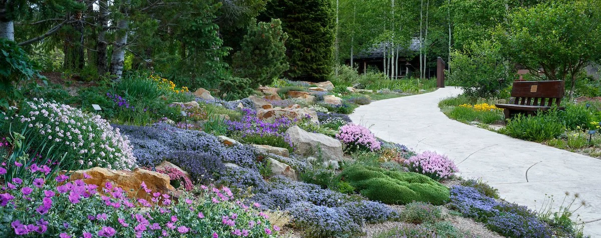 Alpine Garden