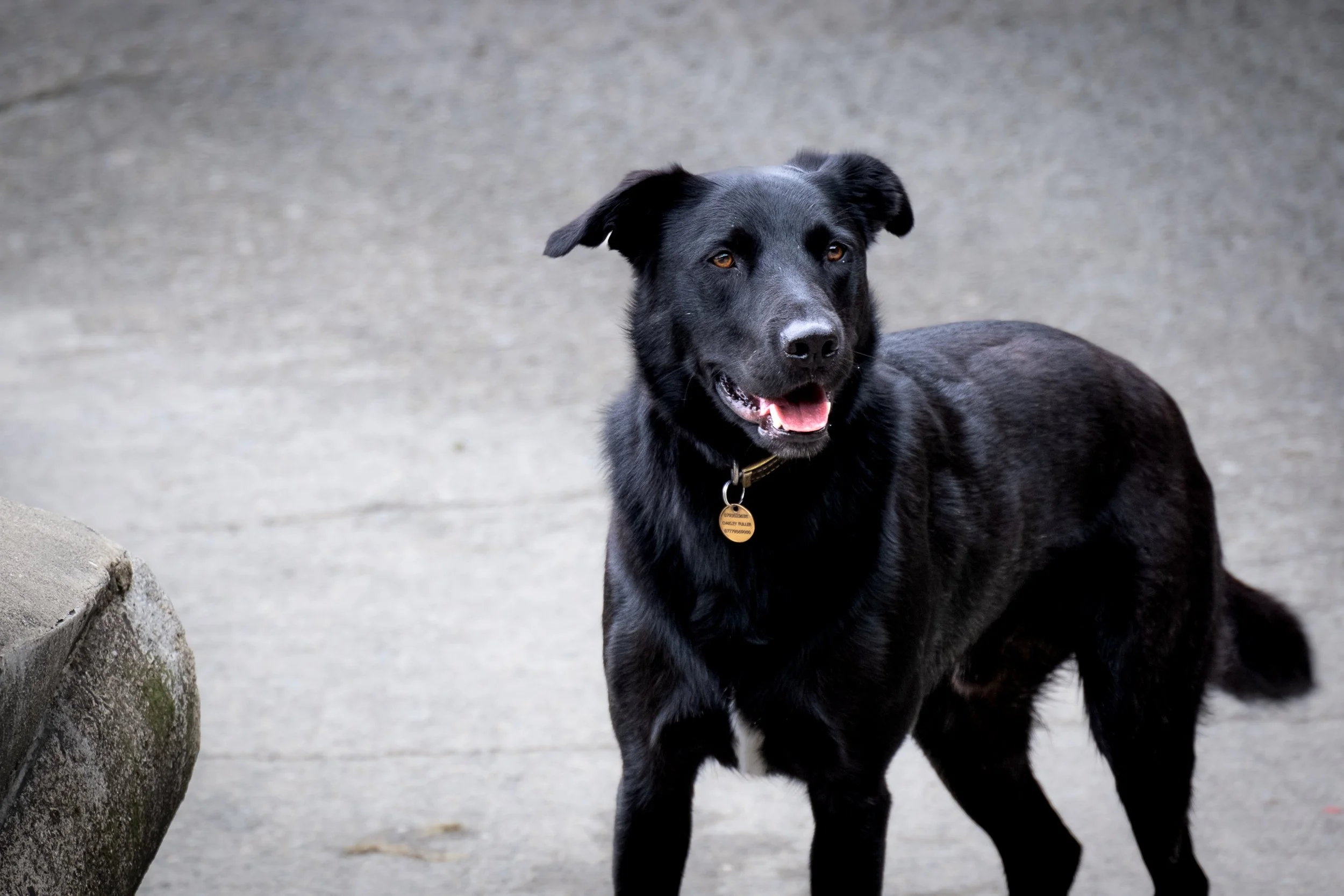 Sweden and UK-80.jpg