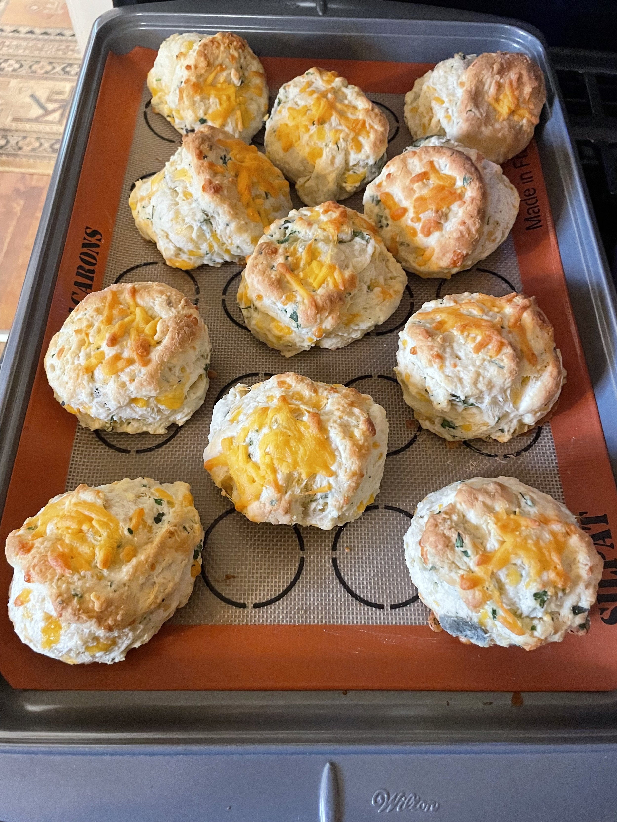 CHEESY HERB SCONES