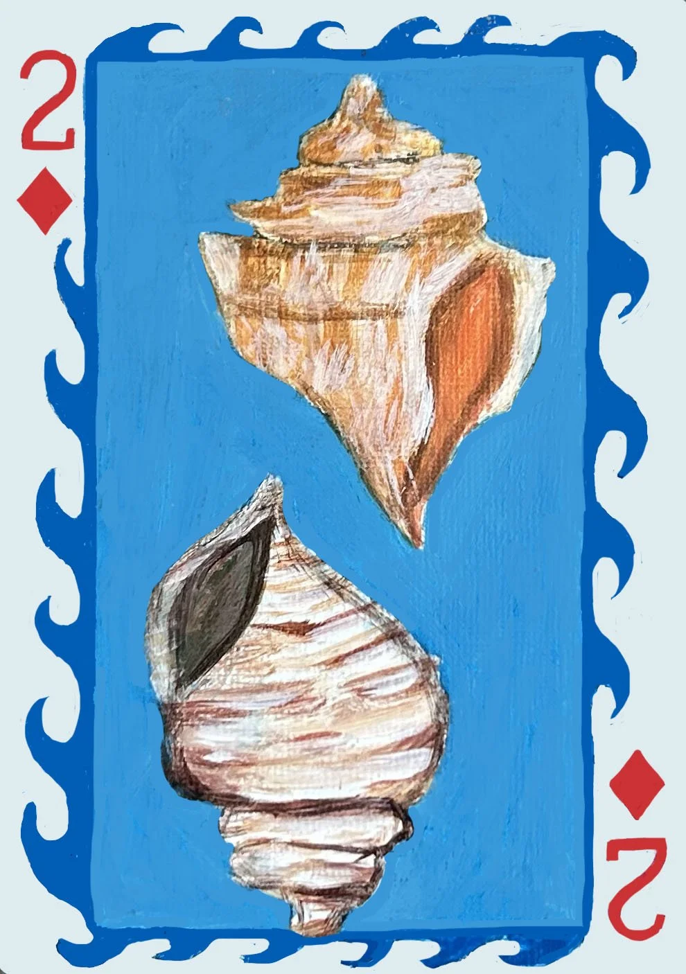 Shells.jpg