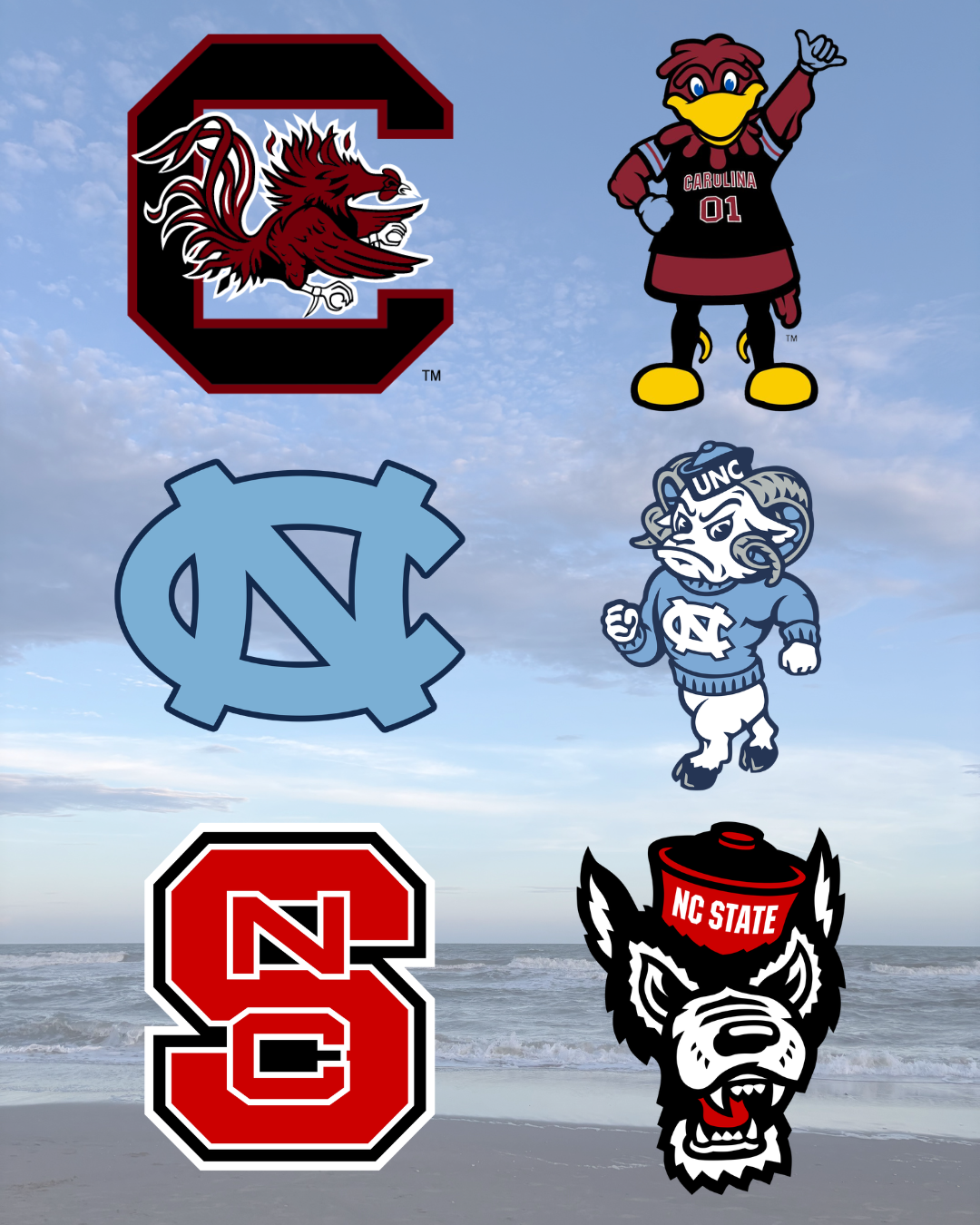 college options.png