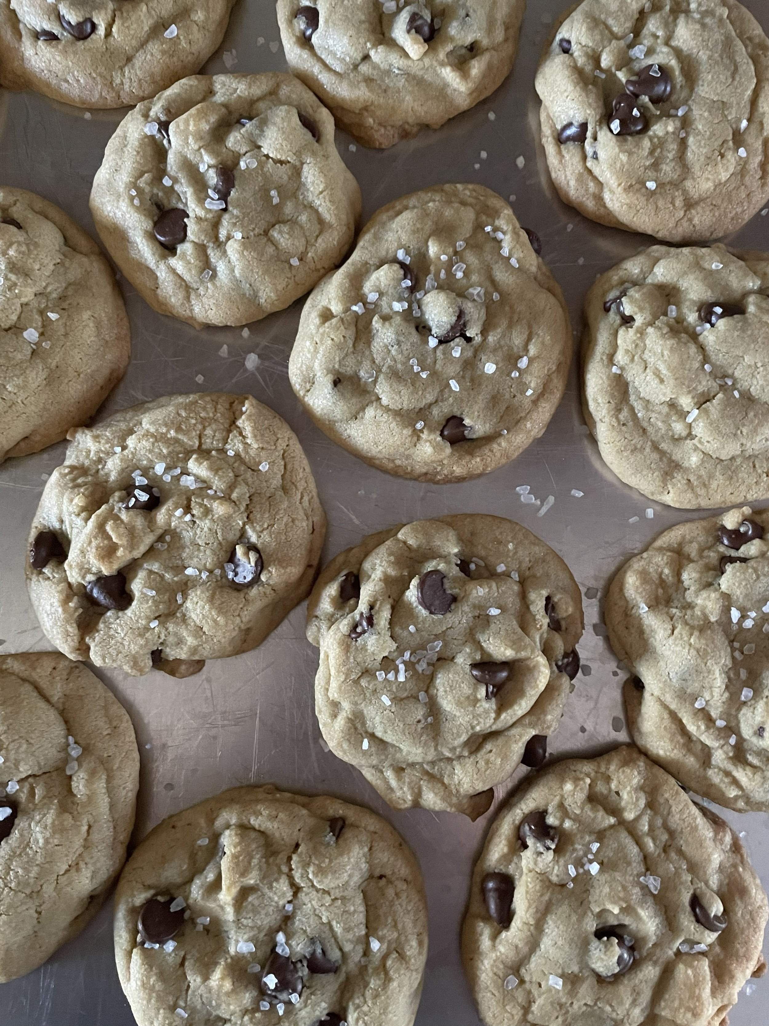 chocolate-chip.jpeg