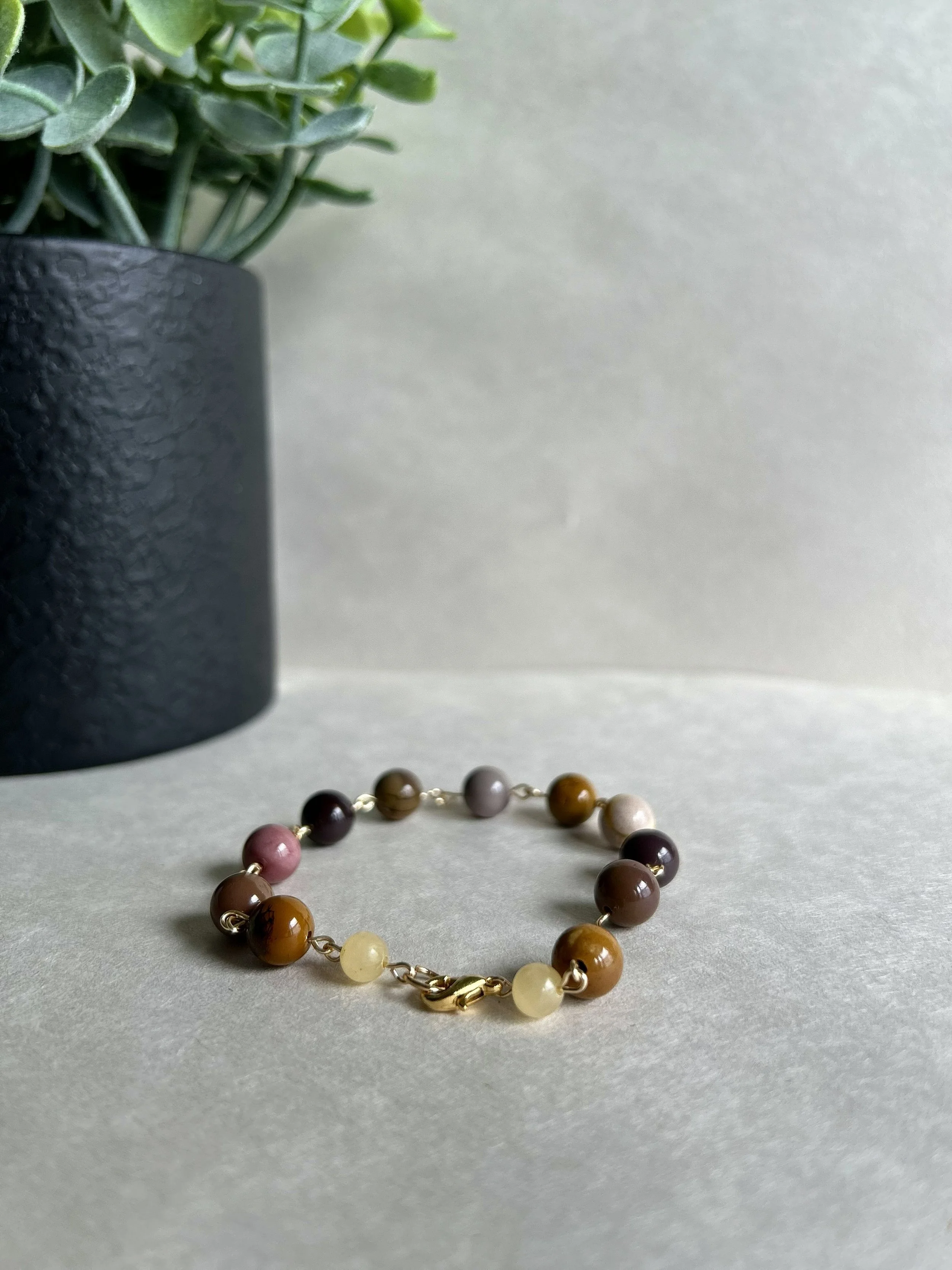 TMC Freestyle(5).jpg