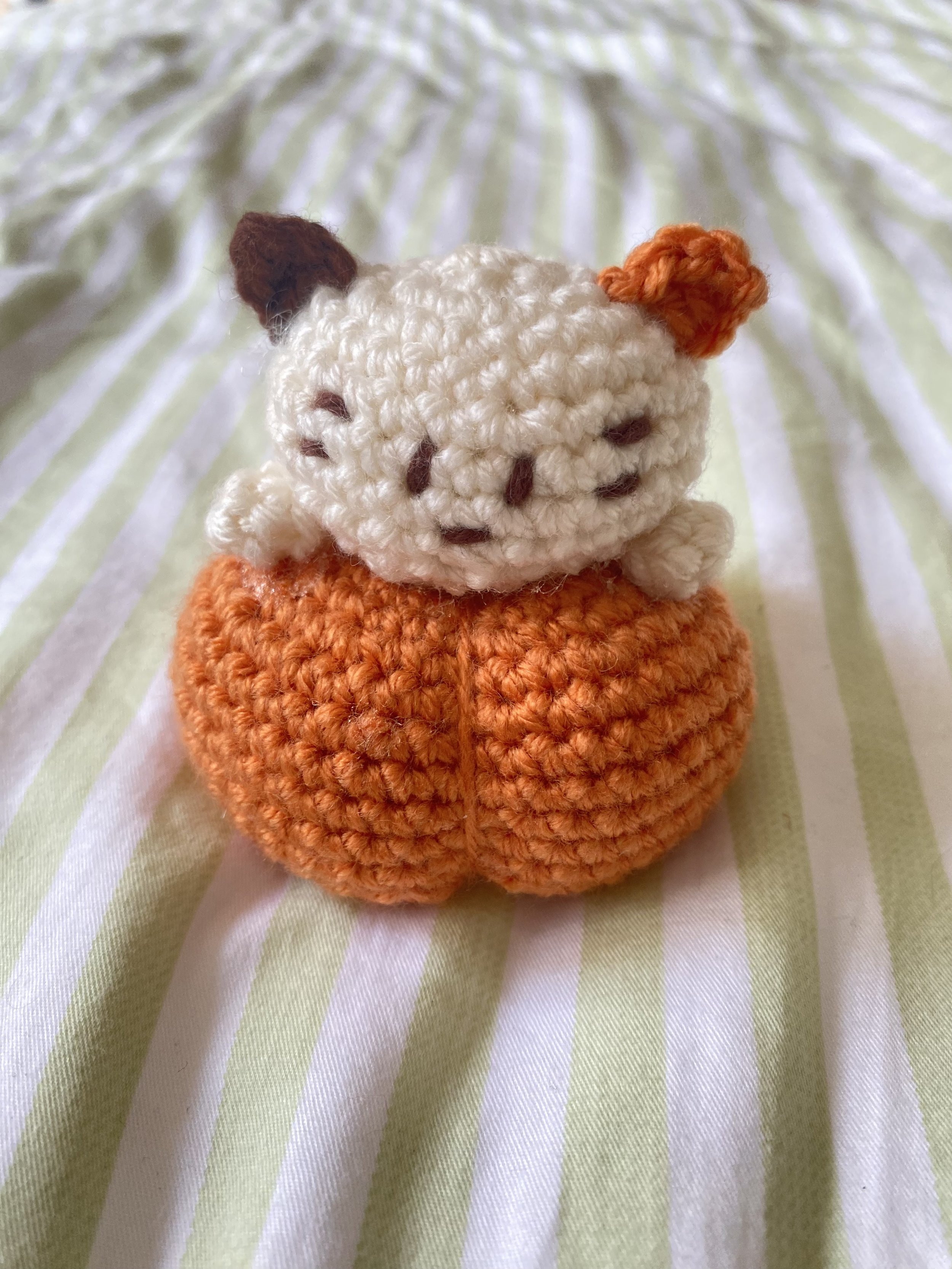 Pumpkin Cat 1.jpeg