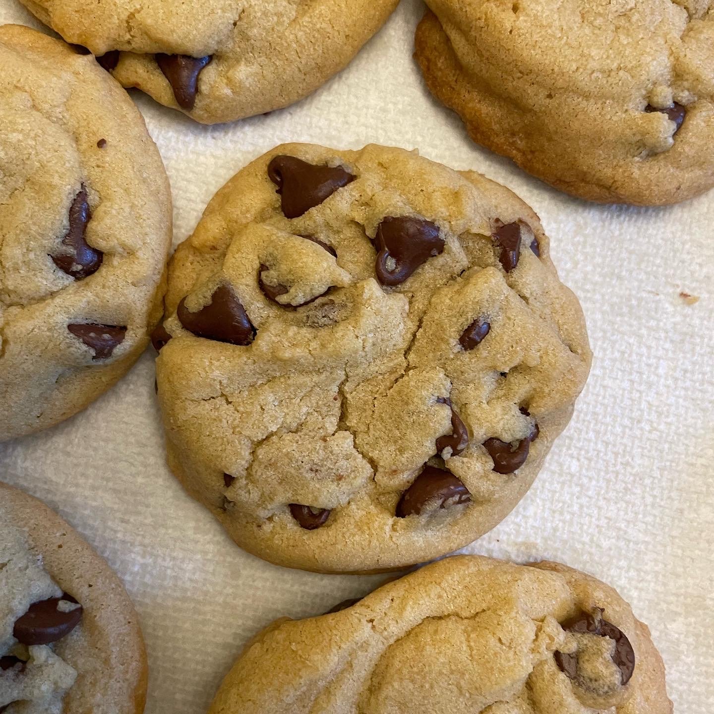 DOZEN CHOCOLATE CHIP COOKIES
