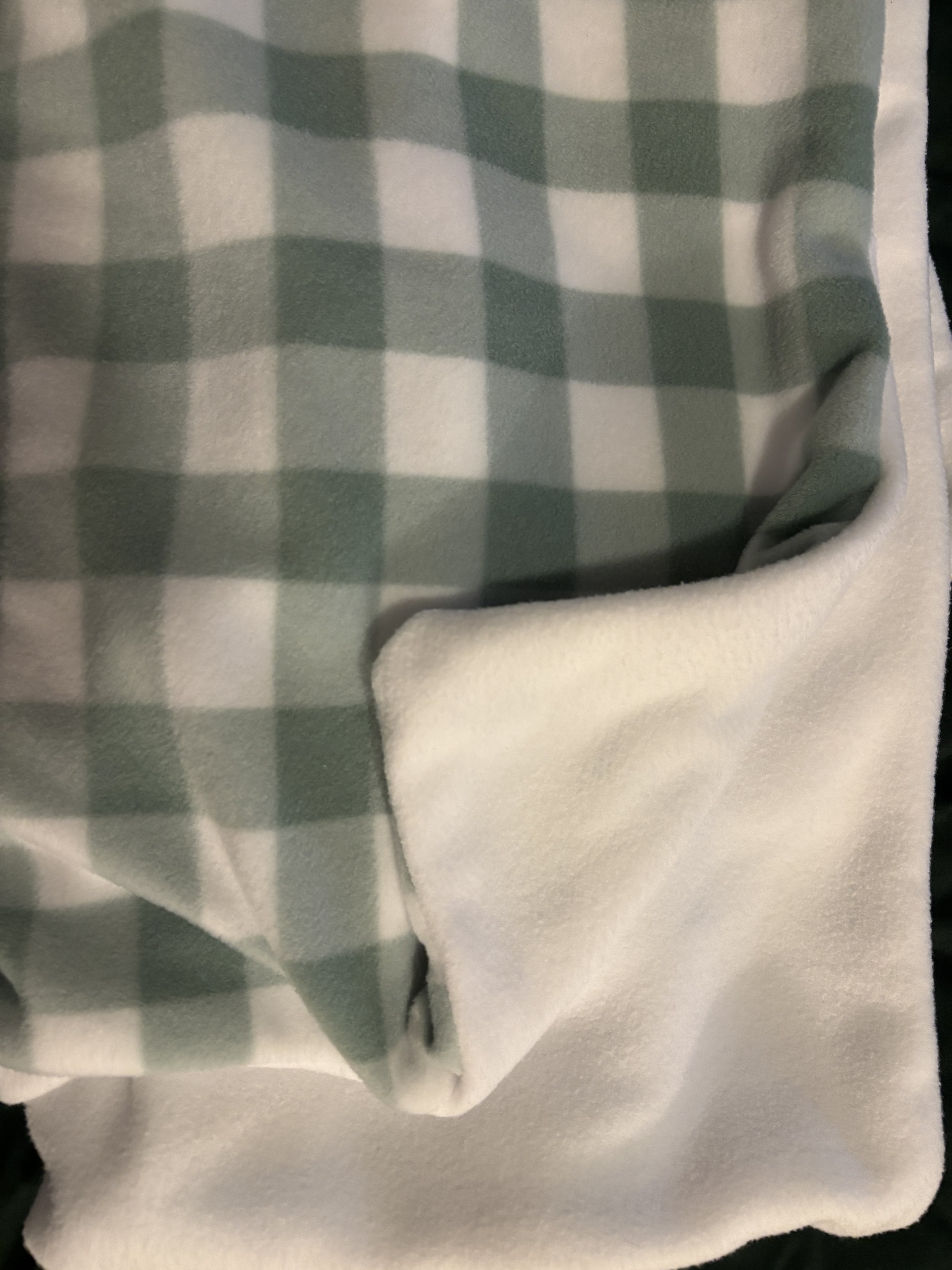 Sage Meadow Blanket.JPG