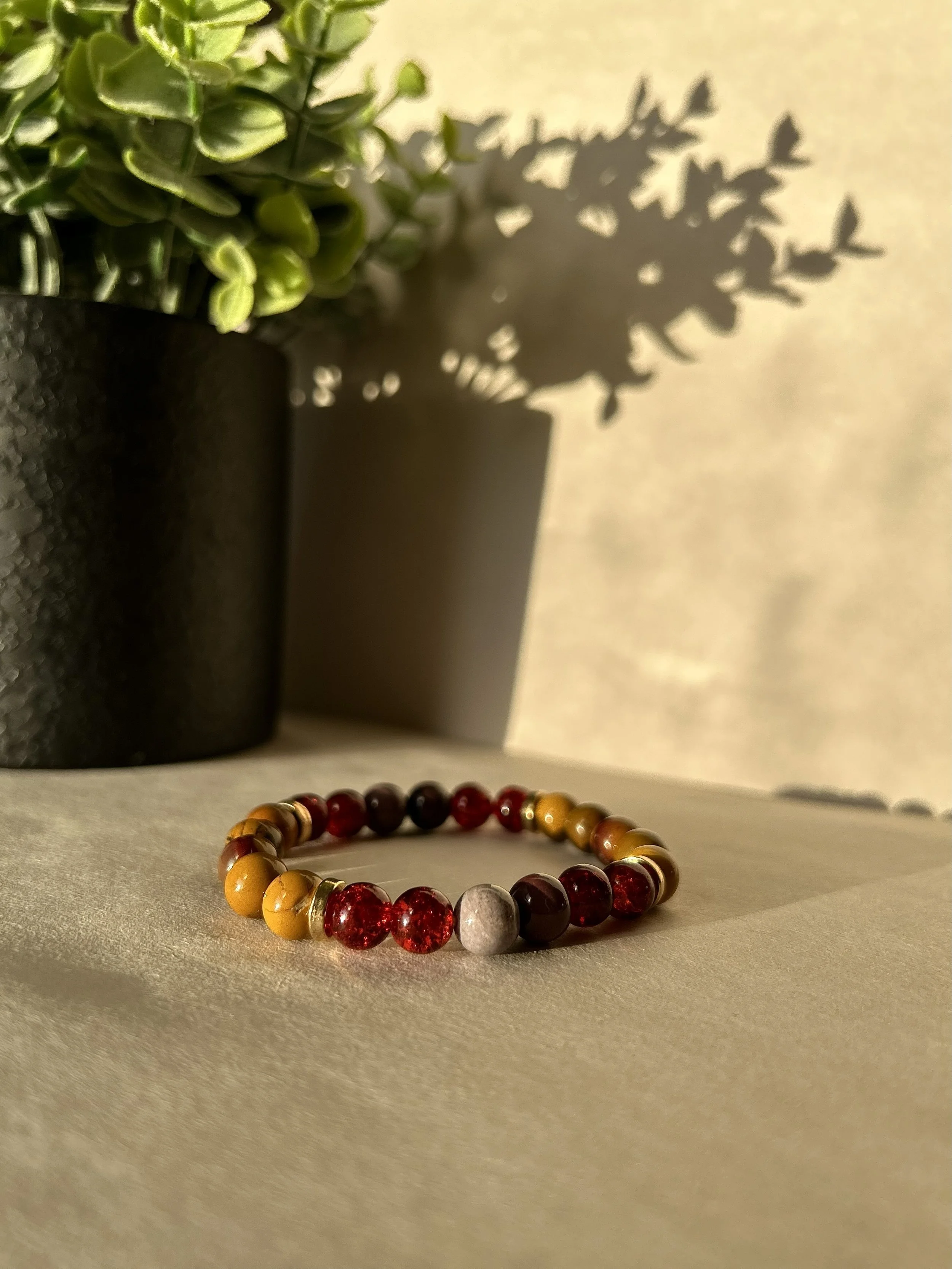 TMC Freestyle(4).jpg