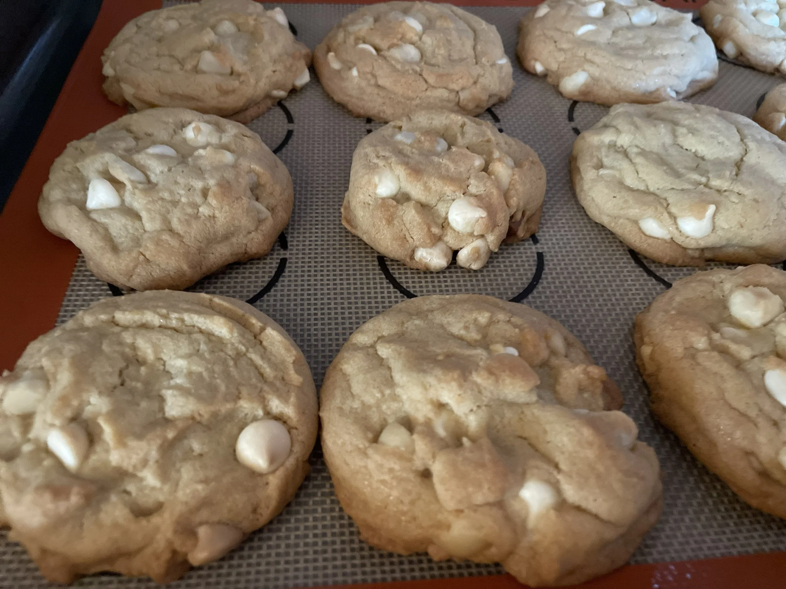 macadamia-nut-cookies.jpeg