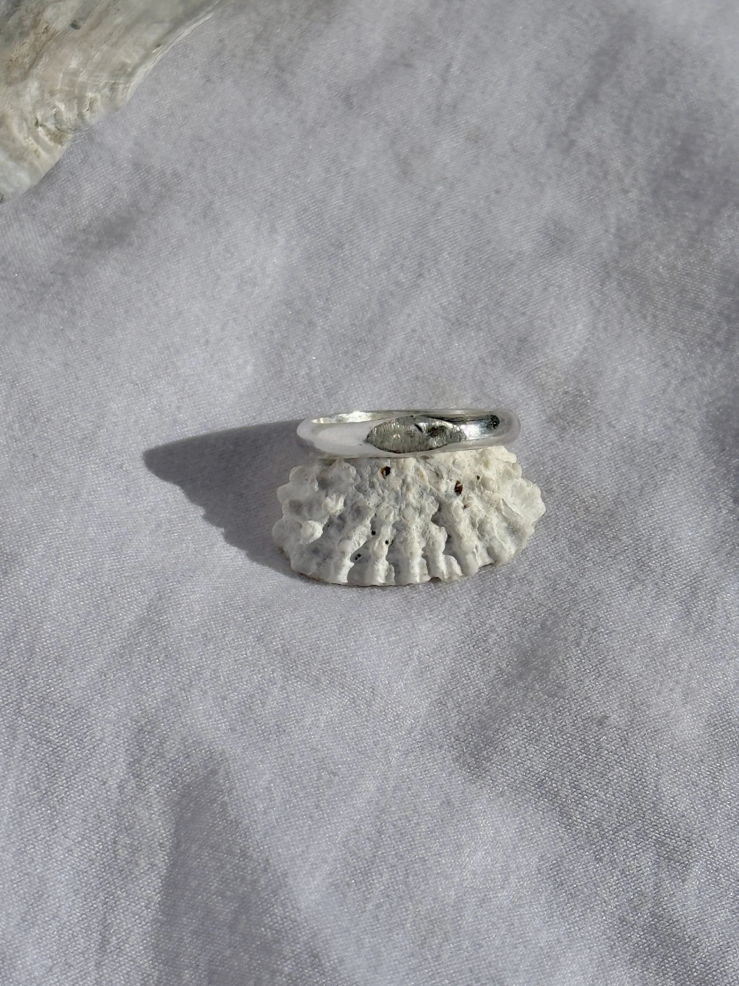 WW Rings 4 (Silver).JPG