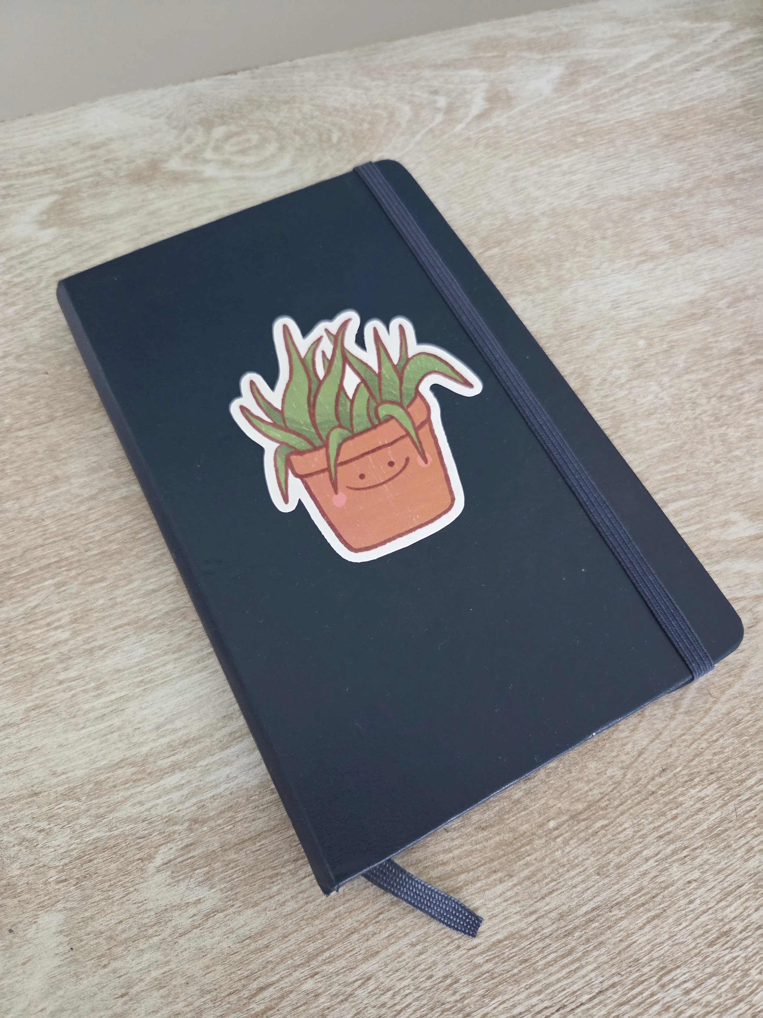 Aloe Vera Sticker on Sketchbook.jpg