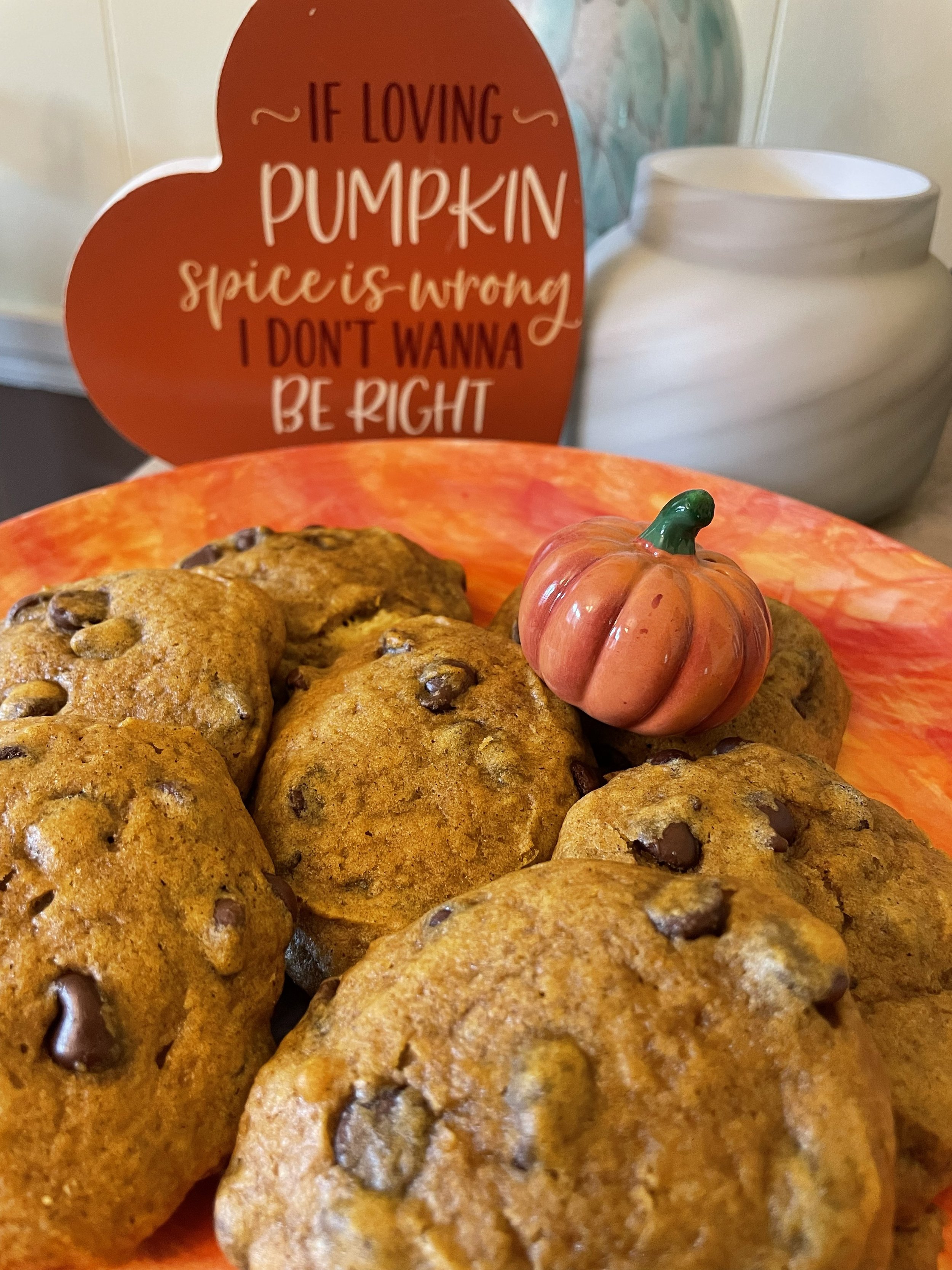 pumpkin-chocolate-chip.jpeg