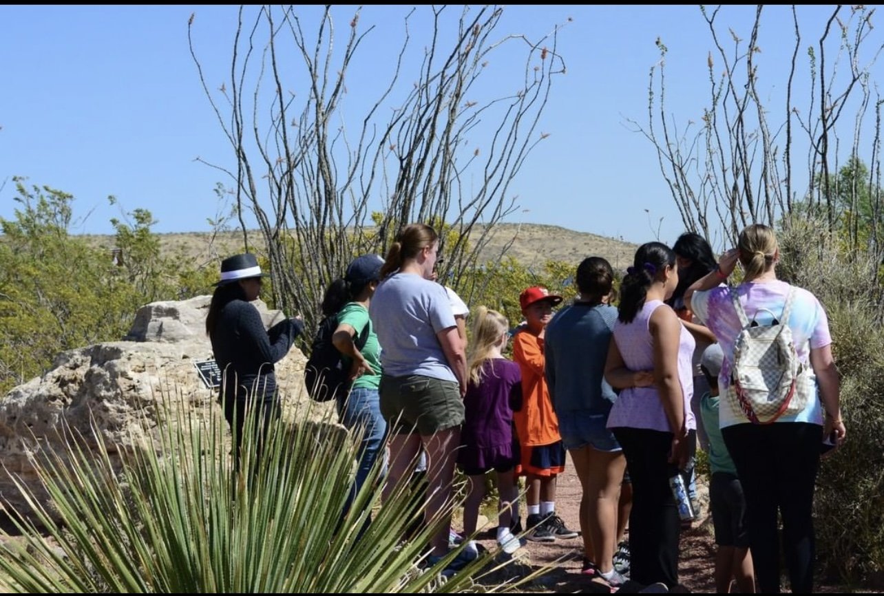 A group of parents and kids learning about Nature.