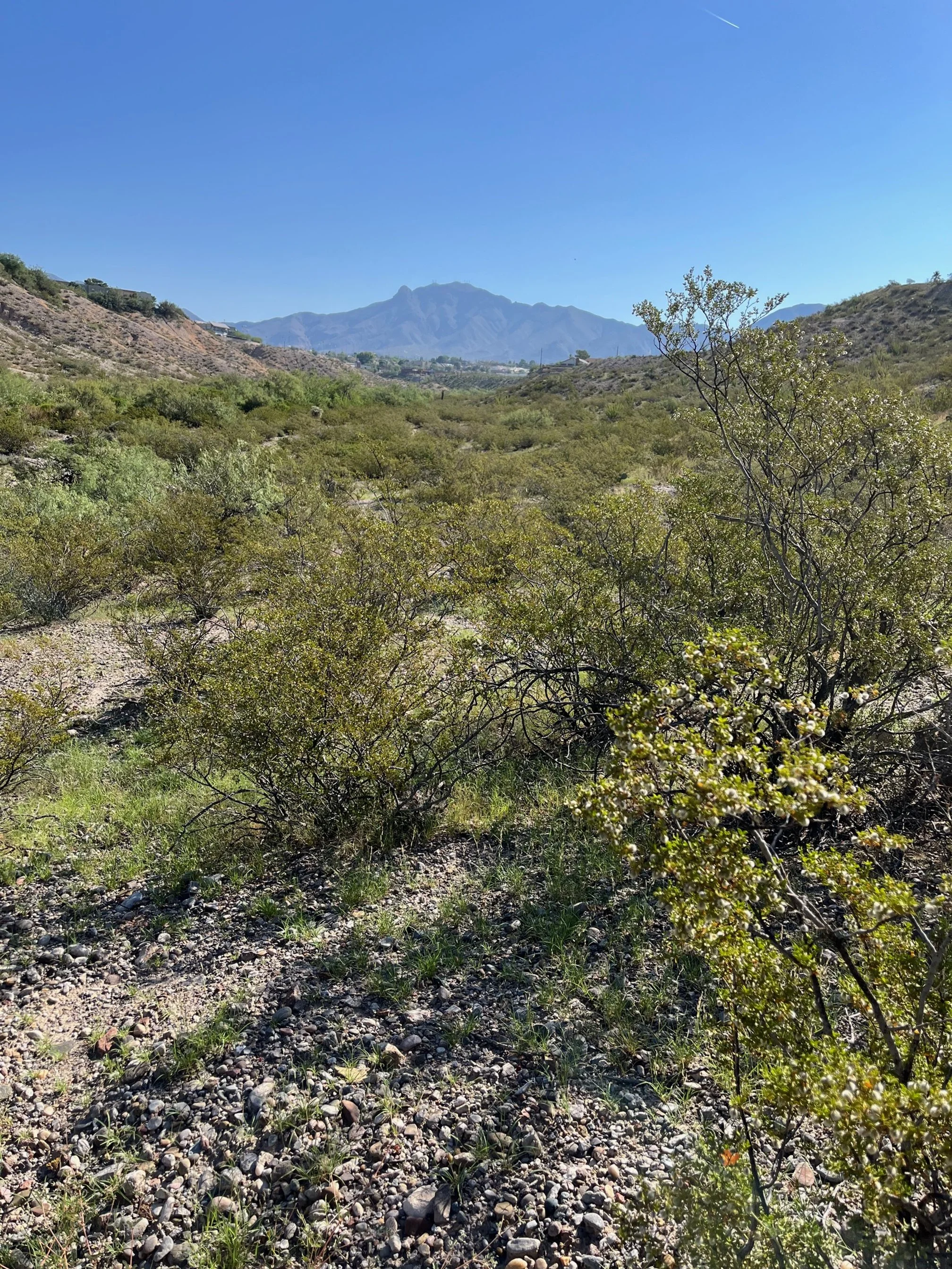 UTEP Earth Science Week