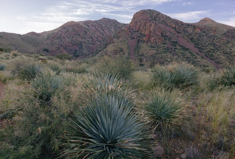 Guided Hike at Resler Canyon