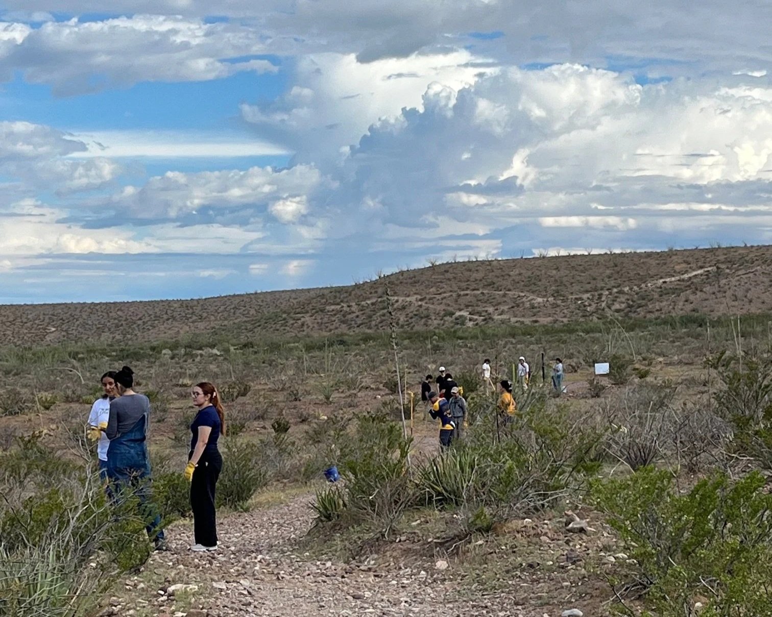 Trail Workday at Lost Dog