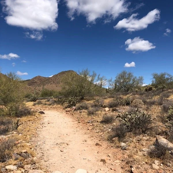 Private Home School Event at Lost Dog