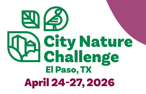 City Nature Challenge at Lost Dog