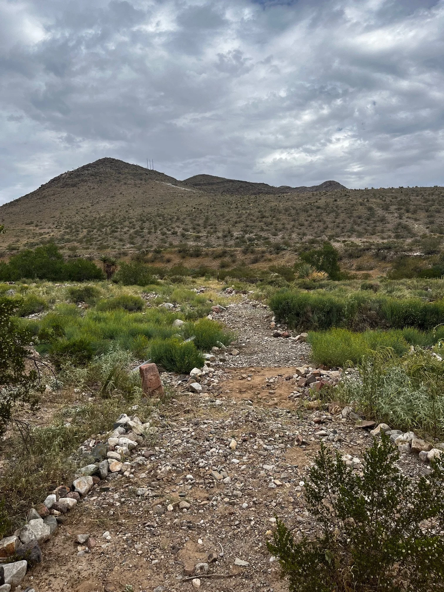 Private Trail Maintenance Day at Knapp Land