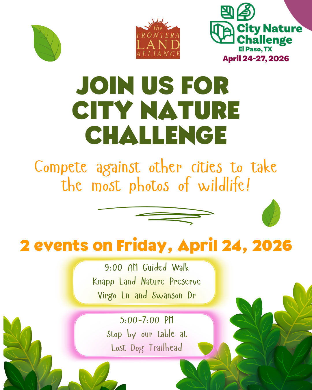 Guided Hike for City Nature Challenge at Knapp Land