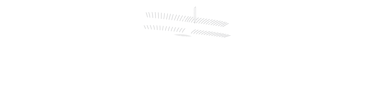 AB AERO PARTNERS