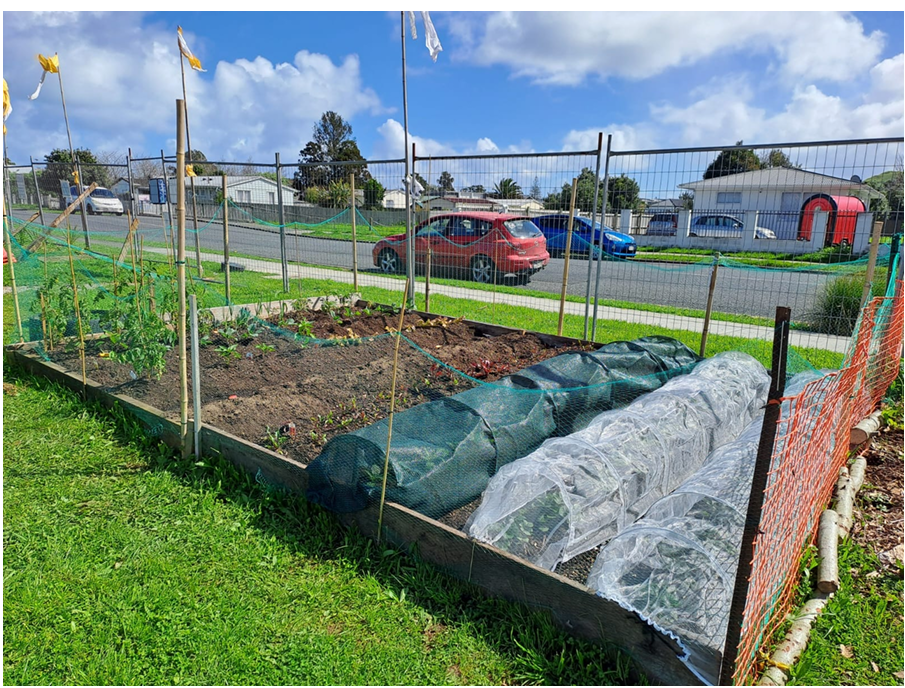 Enviro Hub garden.png