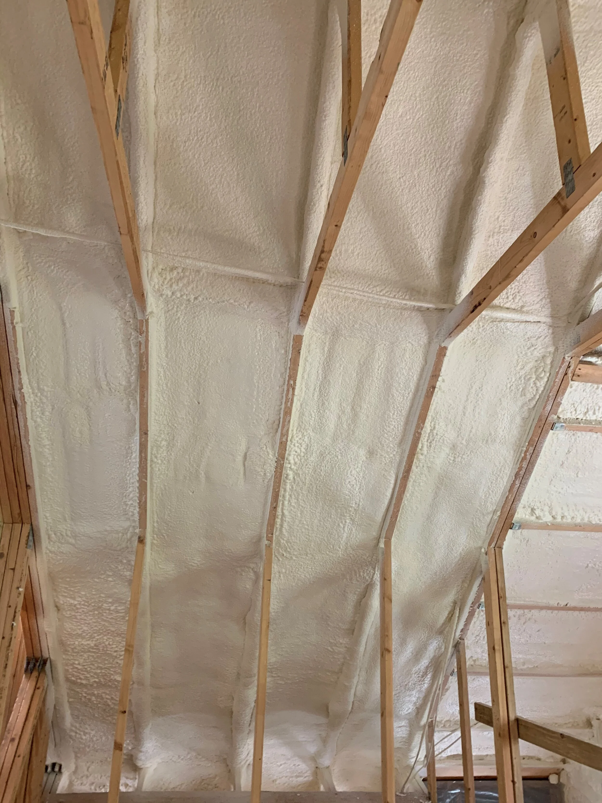 ceiling.jpg
