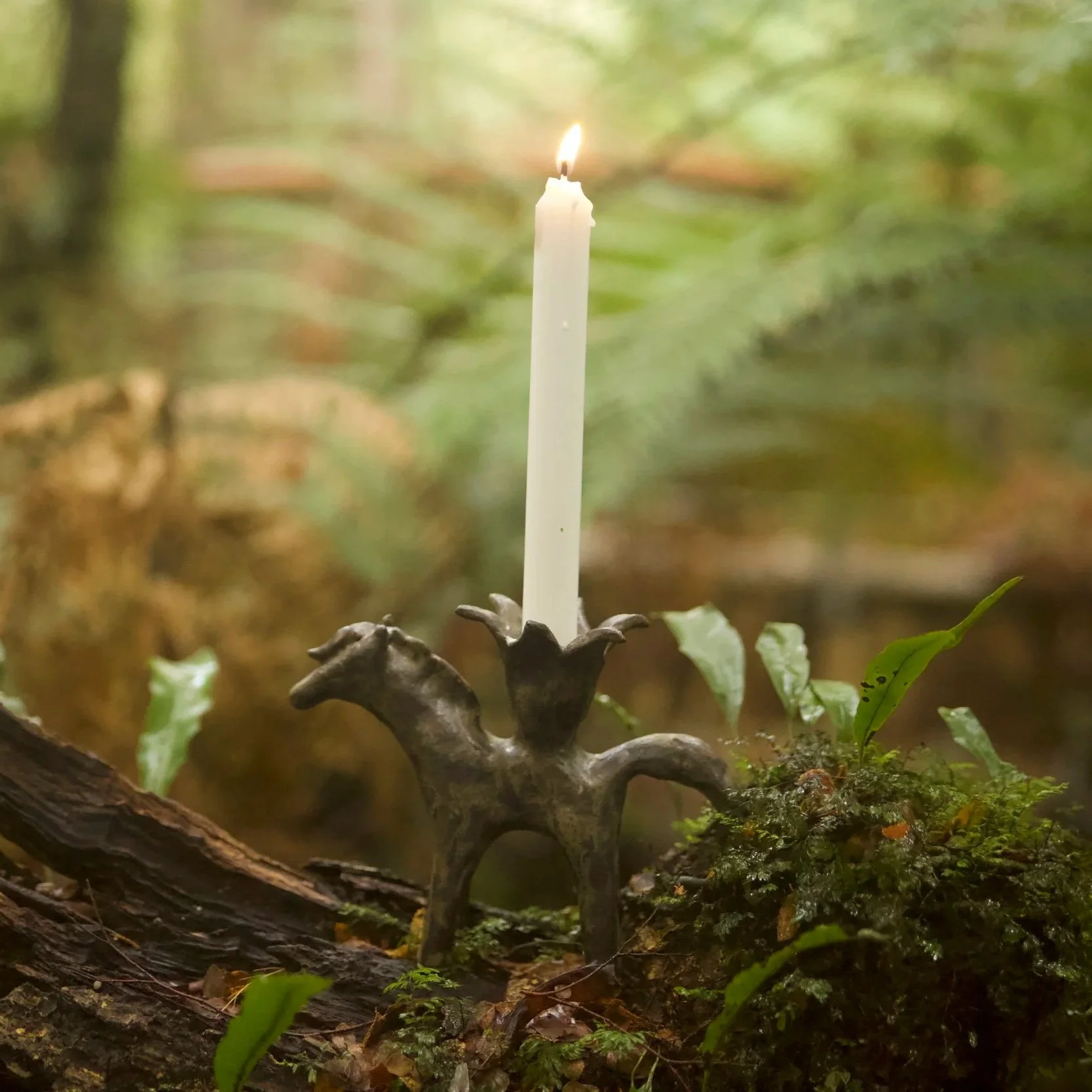 A white candle burning in an ornate black candle holder on a forest floor with green moss, plants, and leaves.