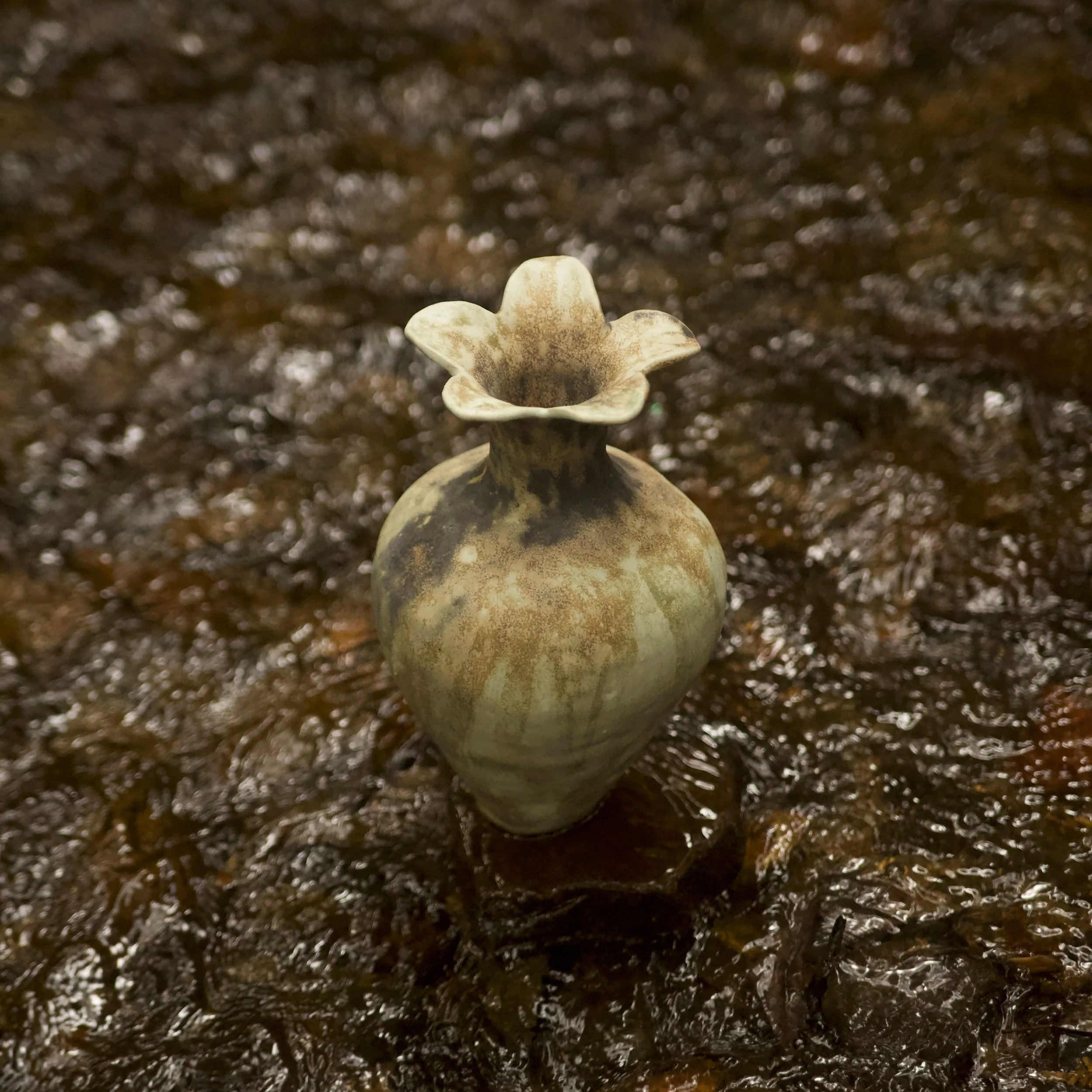 A small vase with a flower-shaped opening, sitting on a dark, textured surface