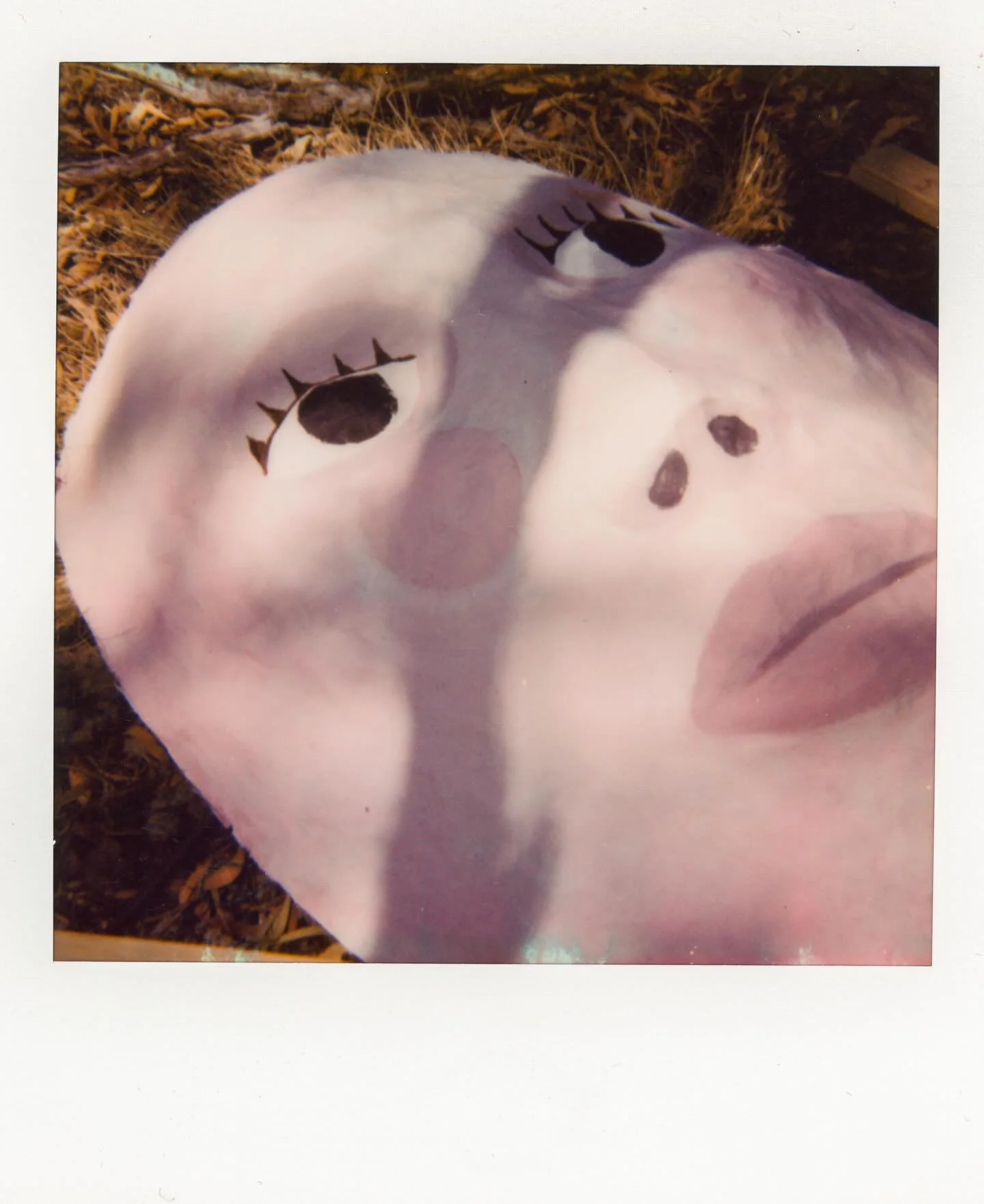 New music, news and one giant puppet  @leahseniormusic coming this Friday!!
I could not be more excited for this ✨ 
Polaroid by @captain_blackmore