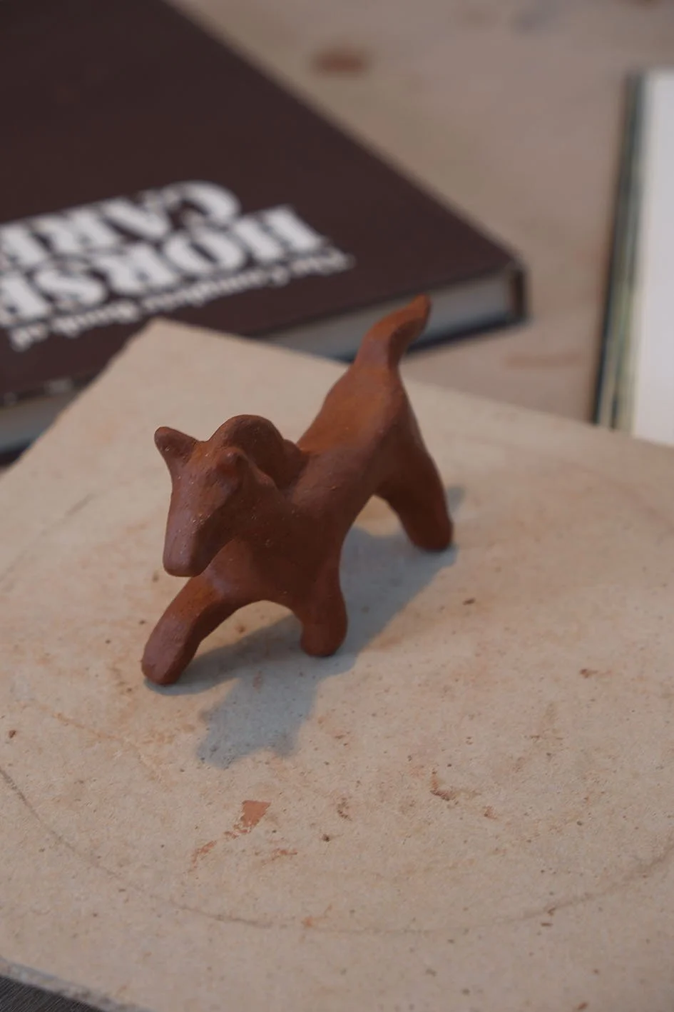 DSCF0858andi pony club.jpg (Copy)