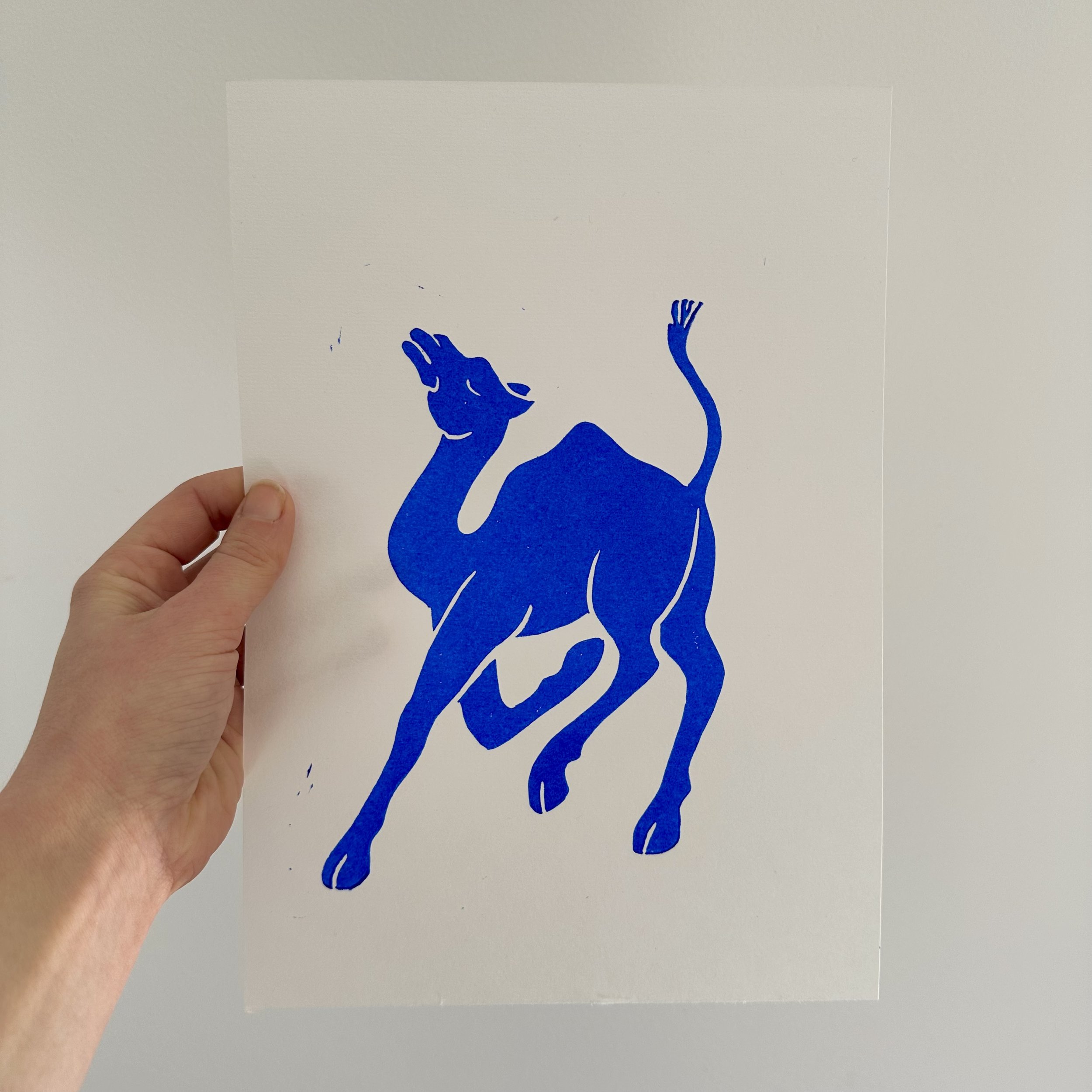 The Camel ~ A print for Lachy