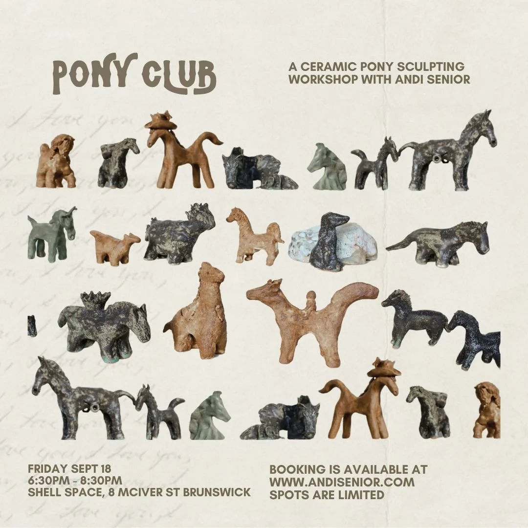 Pony Club Website Pic (2).jpg
