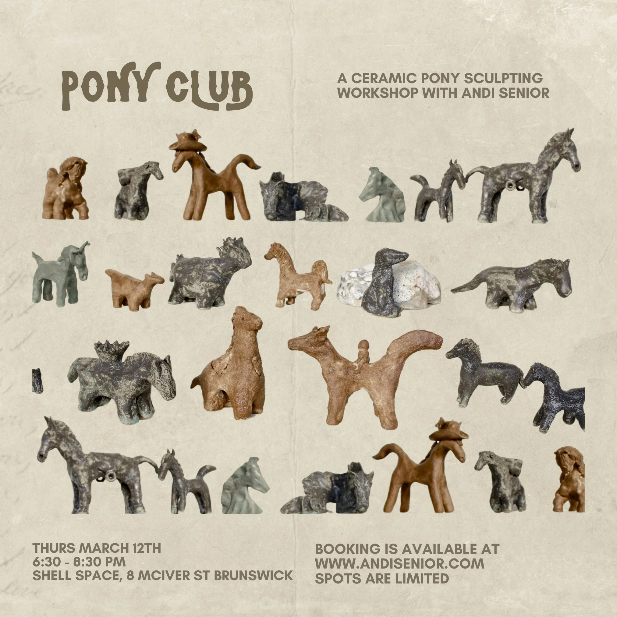 Pony Club Website Pic (2).jpg