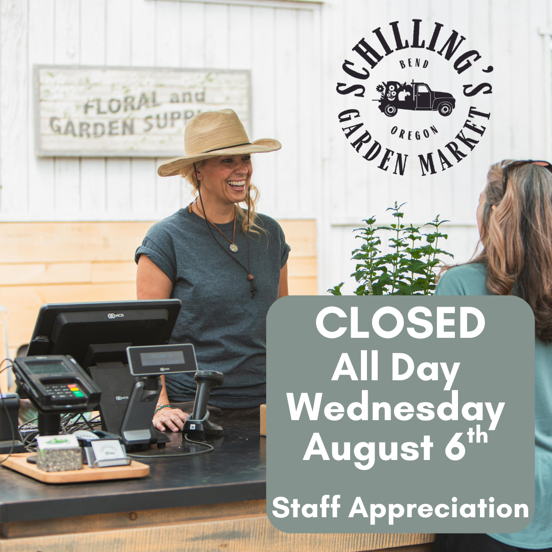 Closed- Staff Appreciation