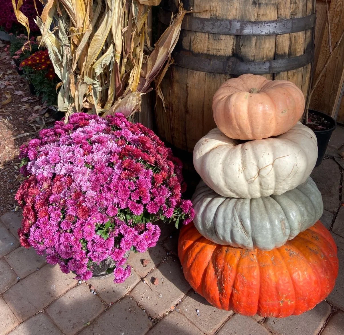 The Art of the Pumpkin: Decorating, Stacking &amp; Savoring the Season
