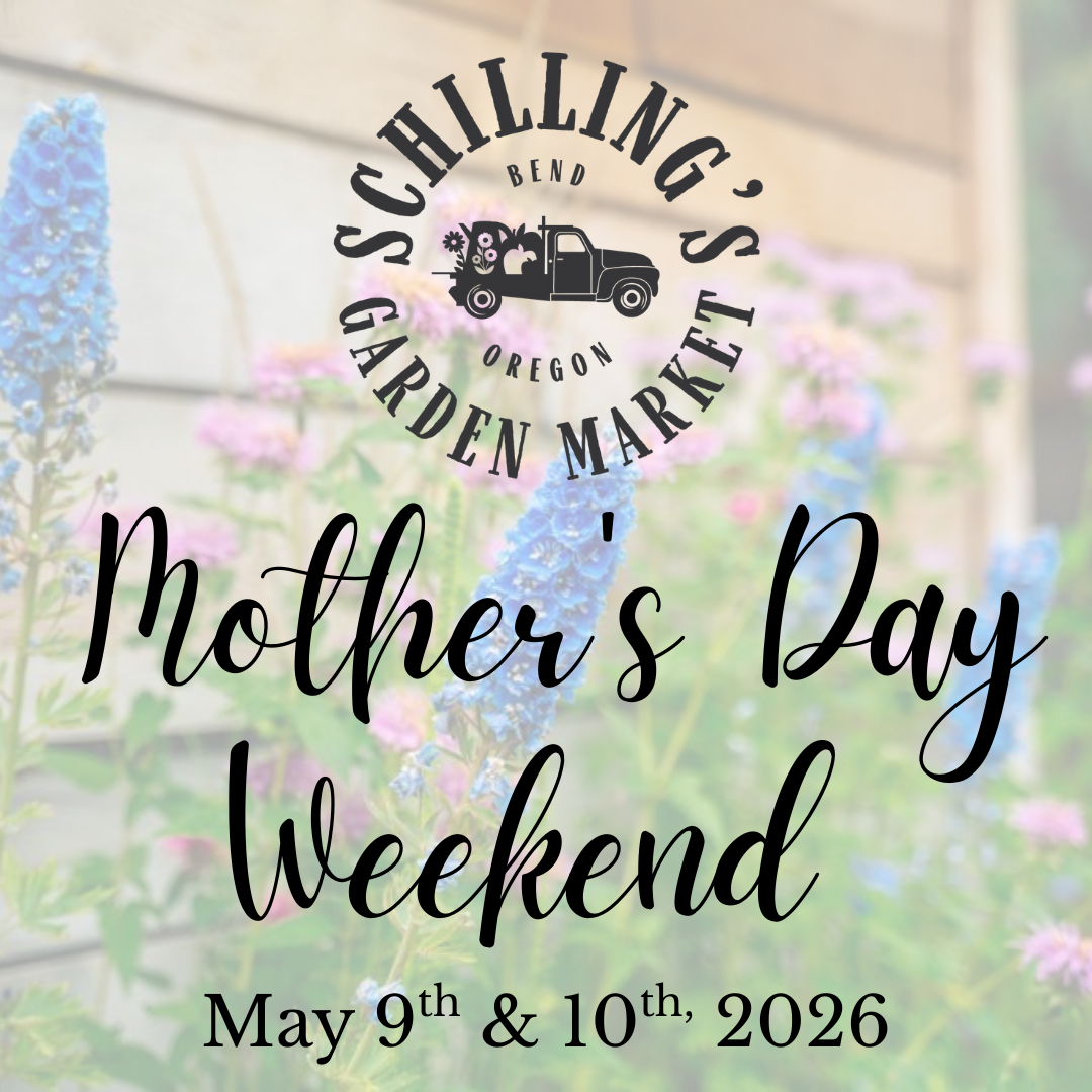 Mother's Day Weekend 2026