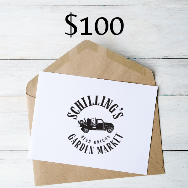 GC Instagram Post (4).png