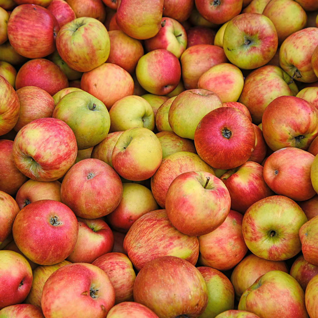 Semi-Dwarf, Ambrosia Apple (Bare Root) 1"+ Size