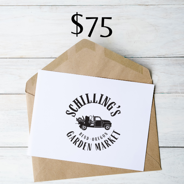 GC Instagram Post (3).png