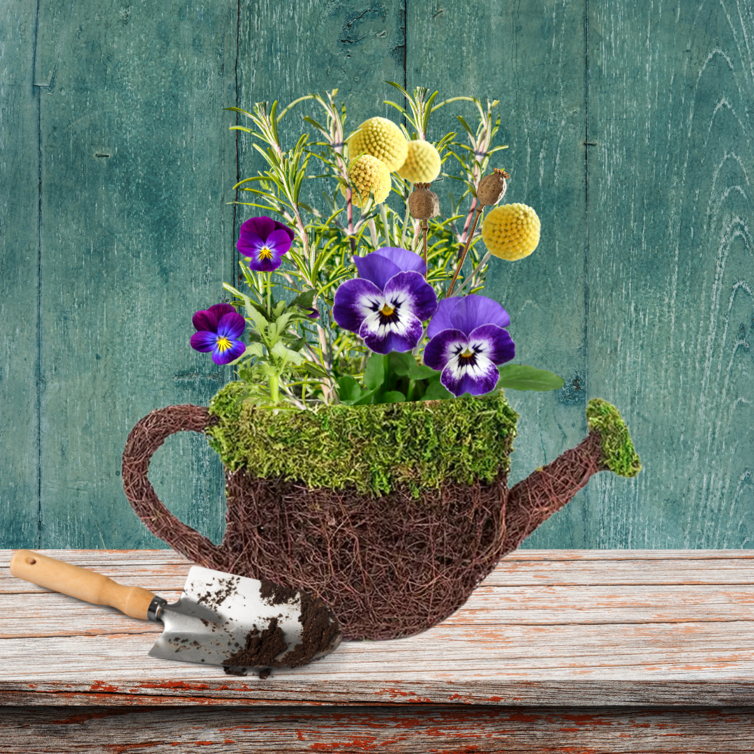 spring workshop idea -2.png
