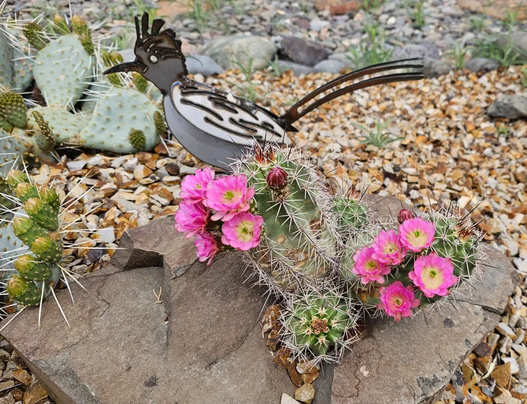 cactus class.webp