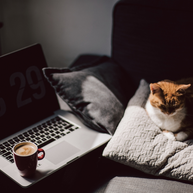 Our website templates are rock-solid reliable and user-friendly. Designed for therapists and coaches, they make launching a professional private practice site quick and easy.