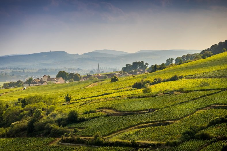 Domaine BernardMillot2.jpg