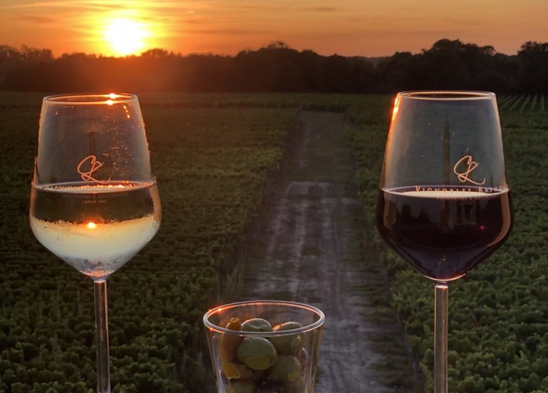 verres-est-couche-de-soleil-photo-Iness-780x560.jpg