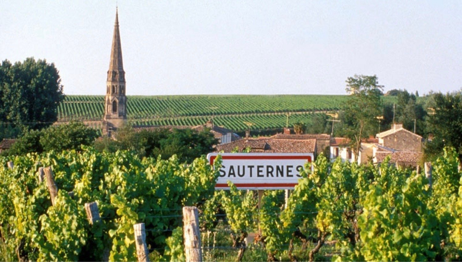 sauternes-sign.jpg