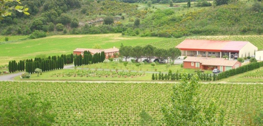 Domaine Laurens property view.jpg