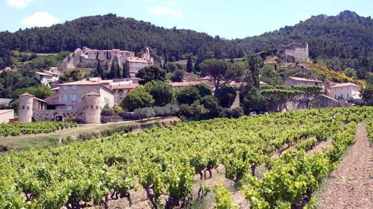 gigondas-1039-1-2.jpg