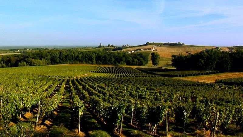 hecquet-puy-servain--23-.jpg