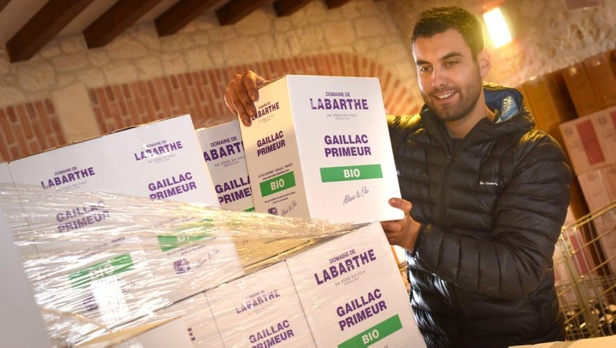 image-gaillac.jpg