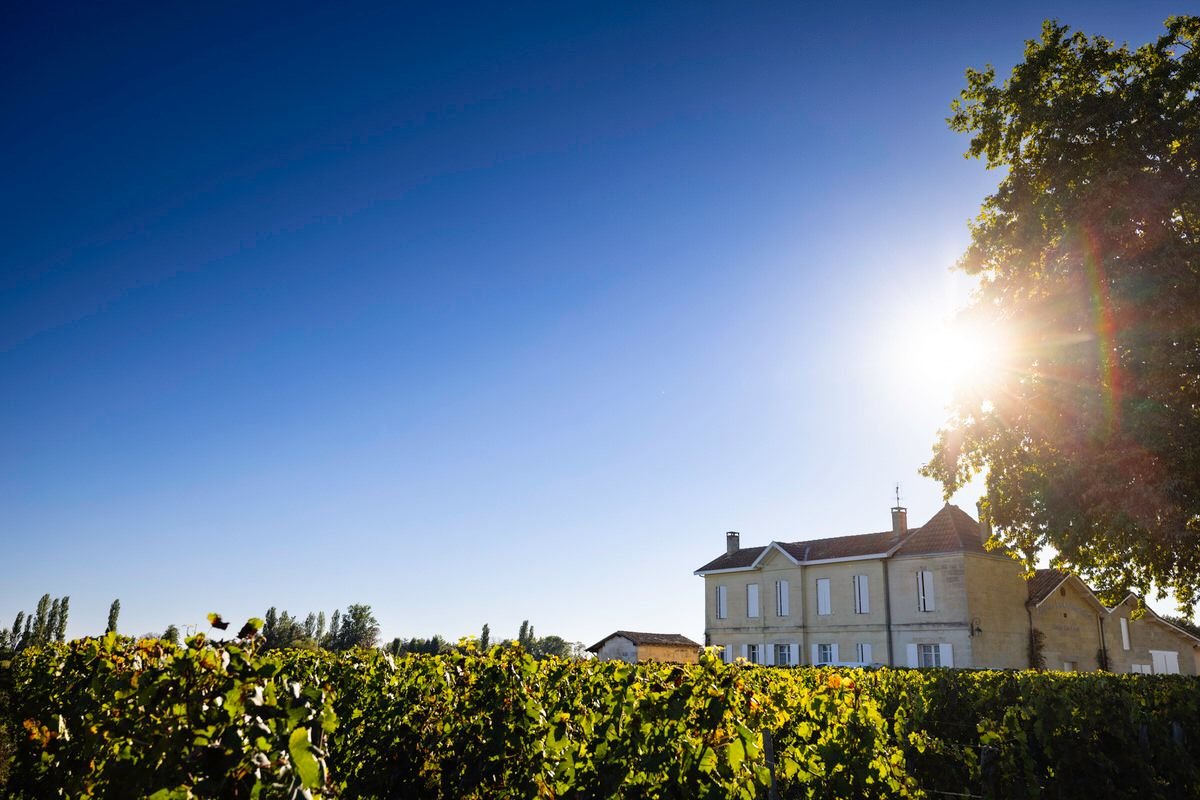 Ghesquiere_20230925_18_03_57_MT_Decoster_Saint_Emilion_891292741f.jpg